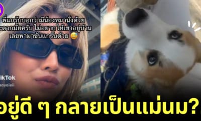 สาวไทยแชร์คลิปนั่ง grab bike อยู่ดี ๆ กลายเป็นแม่นม