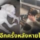เจ้าของเจอหมาที่หายไปนาน 3 ปี