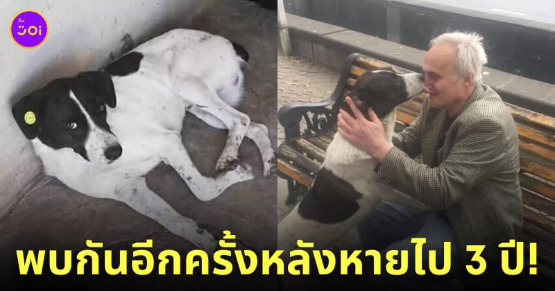เจ้าของเจอหมาที่หายไปนาน 3 ปี