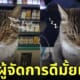 แมวทำงานเป็นแคชเชียร์ แอบหลับ