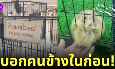 แพรี่ด็อก ป้ายห้ามเอานิ้วแหย่