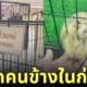 แพรี่ด็อก ป้ายห้ามเอานิ้วแหย่