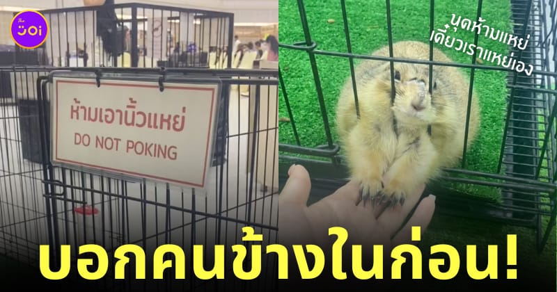 แพรี่ด็อก ป้ายห้ามเอานิ้วแหย่