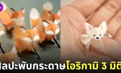 ผลงานศิลปะพับกระดาษโอริกามิ 3 มิติ ศิลปินคิริกามิ