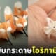 ผลงานศิลปะพับกระดาษโอริกามิ 3 มิติ ศิลปินคิริกามิ