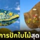 ผลงานศิลปะการปักใบไม้สุดน่ารัก Yukie