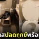แมวดำชวนทาสปลดทุกข์พร้อมกันแต่เช้า