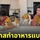 คลิปหนุ่มทำอาหารกับบีเกิ้ล 2 ตัว
