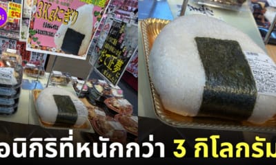 ข้าวปั้นโอนิกิริญี่ปุ่น 3 กิโลกรัม