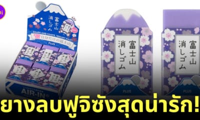 ยางลบฟูจิซัง ยางลบภูเขาไฟฟูจิ PLUS Stationery