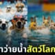 นักกีฬาว่ายน้ำ สัตว์โลก ต่างประเทศ Animal Olympics 2024 AI