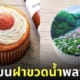 ภาพวาดบนฝาขวดน้ำพลาสติก นิชิมุระ มิโตะ