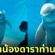 โลมายิ้มหวานถ่ายรูป