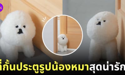 ตุ๊กตากั้นประตู น้องหมา สินค้าญี่ปุ่น