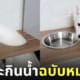 คลิปลูกหมาไซมุดโต๊ะกินน้ำ ใช้โต๊ะกินน้ำแบบผิดวิธี