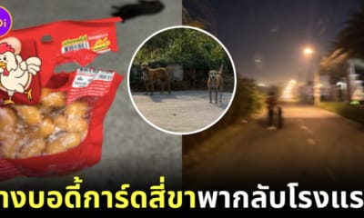 สาวจีน บอดี้การ์ดสี่ขา