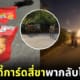 สาวจีน บอดี้การ์ดสี่ขา