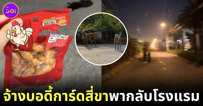 สาวจีน บอดี้การ์ดสี่ขา
