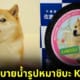 น่ารักเกินปุยมุ้ย! ประเทศญี่ปุ่นสร้างฝาท่อระบายน้ำรูป "คาโบสุ (Kabosu)" หมาชิบะที่กลายเป็นมีมดังไปทั่วโลก เพื่อขอบคุณน้องที่สร้างชื่อเสียงให้กับประเทศ