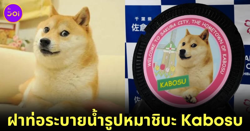 น่ารักเกินปุยมุ้ย! ประเทศญี่ปุ่นสร้างฝาท่อระบายน้ำรูป "คาโบสุ (Kabosu)" หมาชิบะที่กลายเป็นมีมดังไปทั่วโลก เพื่อขอบคุณน้องที่สร้างชื่อเสียงให้กับประเทศ