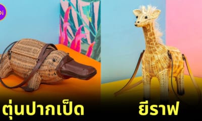 กระเป๋าสานรูปทรงสัตว์ของ "Wicker Darling"