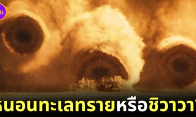 โปสเตอร์ Dune 2 หนอนทะเลทรายเหมือนหมาชิวาว่า