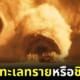 โปสเตอร์ Dune 2 หนอนทะเลทรายเหมือนหมาชิวาว่า