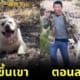 Ploy Design 800x420 Labrador climb mountain