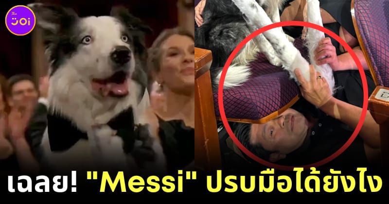 เบื้องหลัง เจ้าหมา Messi ปรบมือ