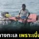 ลุงสมเกียรติ แพขวด รอบ 2