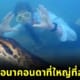 อนาคอนดาที่ใหญ่ที่สุดในโลก ตายแล้ว
