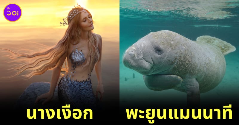 พาส่อง 25 สัตว์โลกน่ารักที่เป็นต้นแบบสัตว์ในเทพนิยายชื่อดัง
