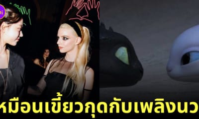 แฮริน newjeans อันย่า เทย์เลอร์ จอย เหมือนแมว เขี้ยวกุด เพลิงนวล