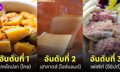 แกงไตปลา อาหารยอดแย่ของโลก