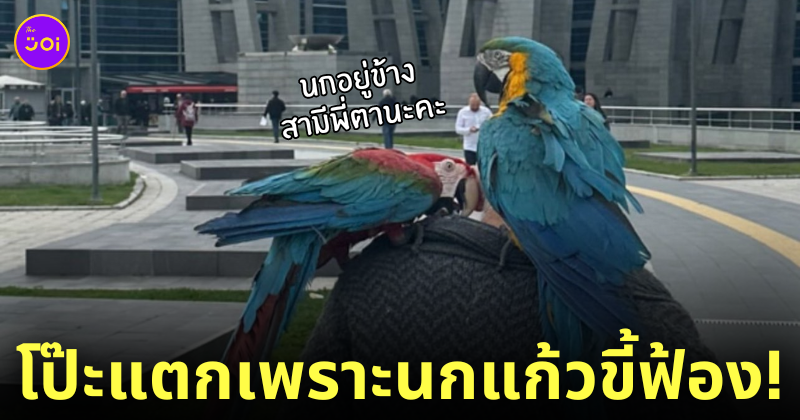 นกแก้วฟ้องสามี ภรรยานอกใจ