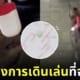 ภาพ GPS แมวเดินเล่น