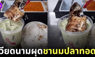 ชานมปลาทอด เวียดนาม