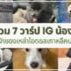 วาร์ป IG น้องหมาที่เป็นลูกรักของเหล่าไอดอลเกาหลีคนดัง