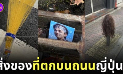ภาพสิ่งของที่ตกบนถนนญี่ปุ่น