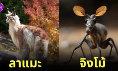 aiart ภาพสัตว์โลกที่ผสมข้ามสายพันธุ์กัน (Animal Hybrids)