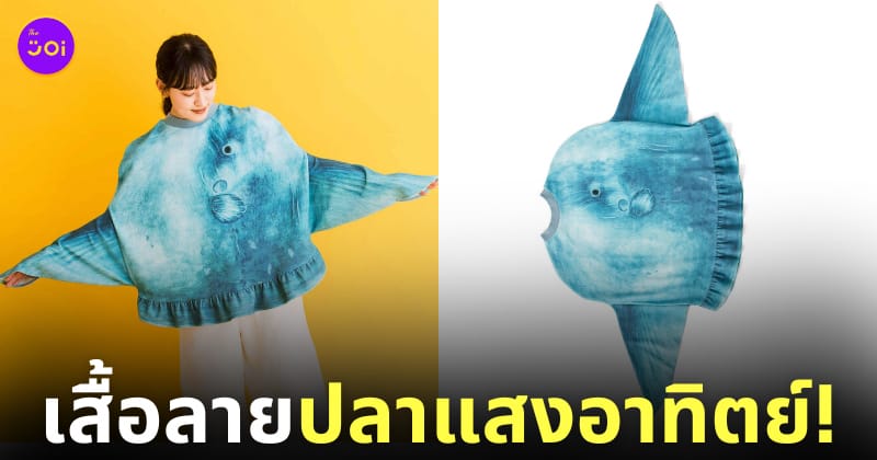 เสื้อลายปลาแสงอาทิตย์ felissimo