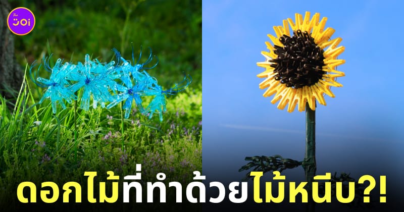 ผลงาน ดอกไม้ ไม้หนีบ okaphotoart
