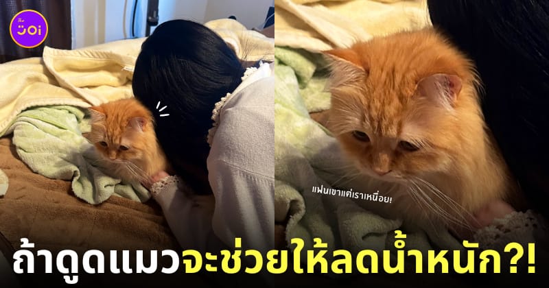 หนุ่มหลอกแฟน ถ้าดูดแมวจะช่วยให้ลดน้ำหนัก April Fool's Day