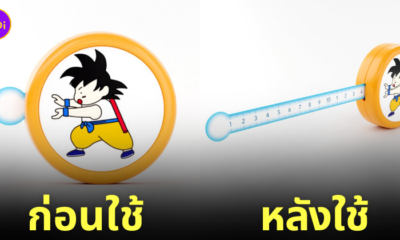 ตลับเมตรโกคูปล่อยพลังคลื่นเต่า