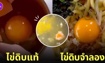 ไข่ดิบจำลอง ข้าวกล่องมินิมาร์ท ญี่ปุ่น