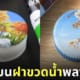 ภาพวาดบนฝาขวดน้ำพลาสติก นิชิมุระ มิโตะ