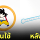 ตลับเมตรโกคูปล่อยพลังคลื่นเต่า