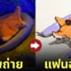 ภาพถ่ายดาวทะเลนอนทับเบาะปลาไหล แฟนอาร์ต