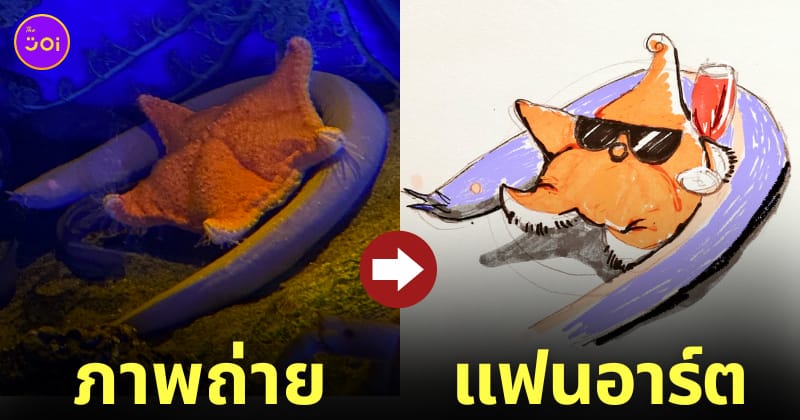 ภาพถ่ายดาวทะเลนอนทับเบาะปลาไหล แฟนอาร์ต