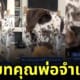 หมาหนีออกจากบ้าน กลับมาพร้อมลูกแมว